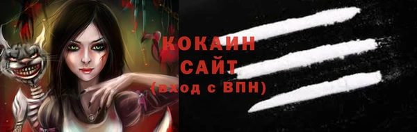ECSTASY Алзамай