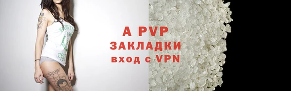 СК Алексеевка