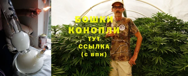 метадон Алексин