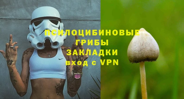 СК Алексеевка