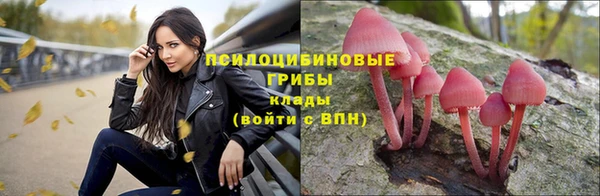 ECSTASY Алзамай