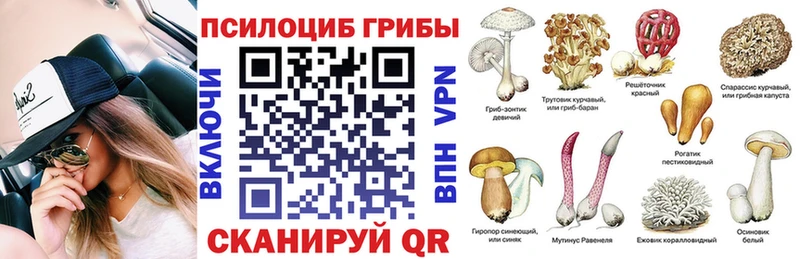 Псилоцибиновые грибы MAGIC MUSHROOMS Пенза